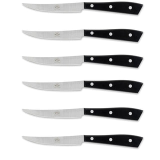Coltellerie Berti Compendio set 6 table knives 8550 black plexiglass - Buy now on ShopDecor - Discover the best products by COLTELLERIE BERTI 1895 design